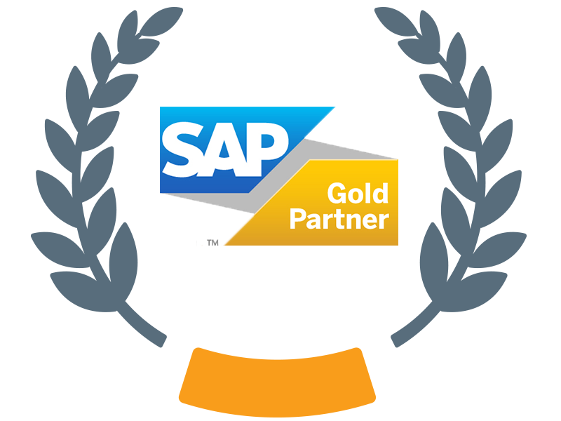 SAP Ariba MEE Partner of the Year Pt. 2   Goldpartner