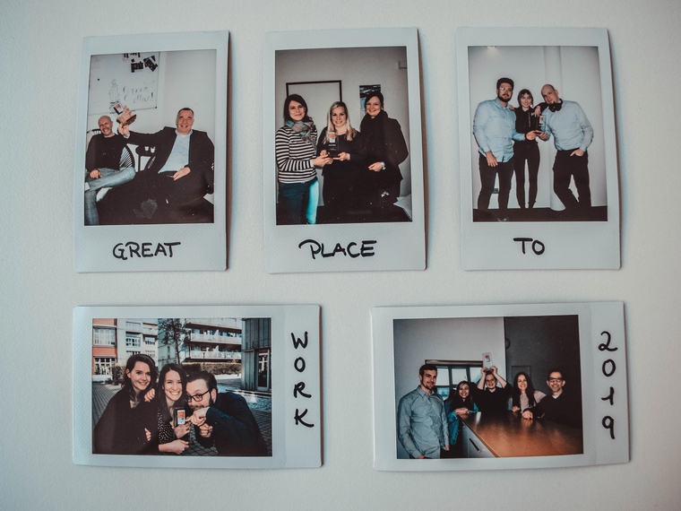 apsolut - a champion in the shadow of a castle, a stadium called "The Alp" 