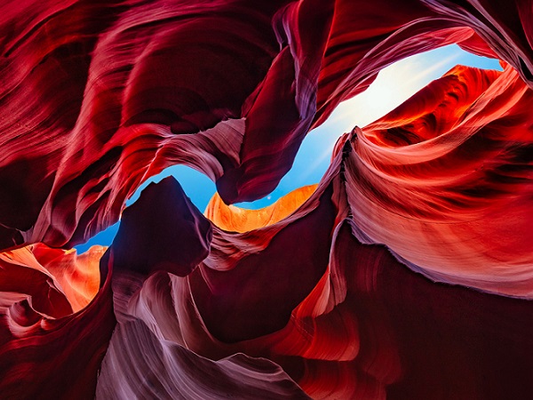 apsolut Global Procurement eConvention 2024